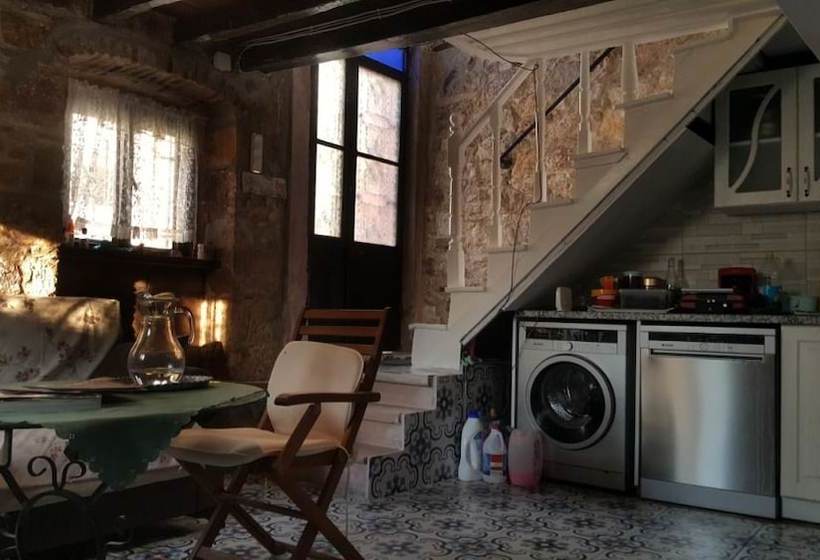 Пансион Isik Konukevi