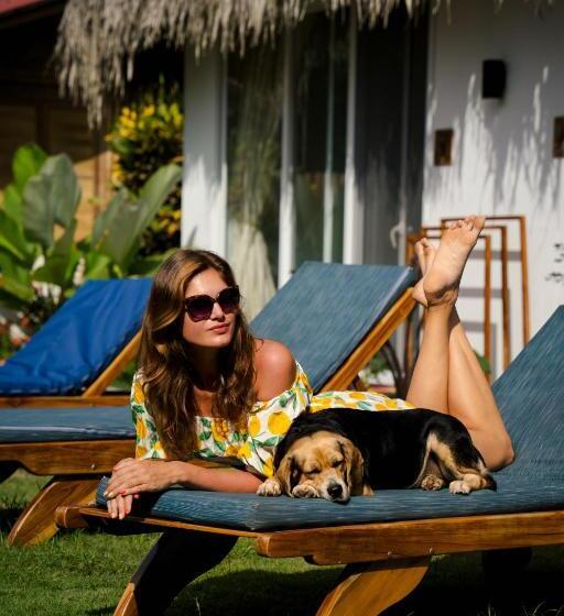 Bed and Breakfast Vikara