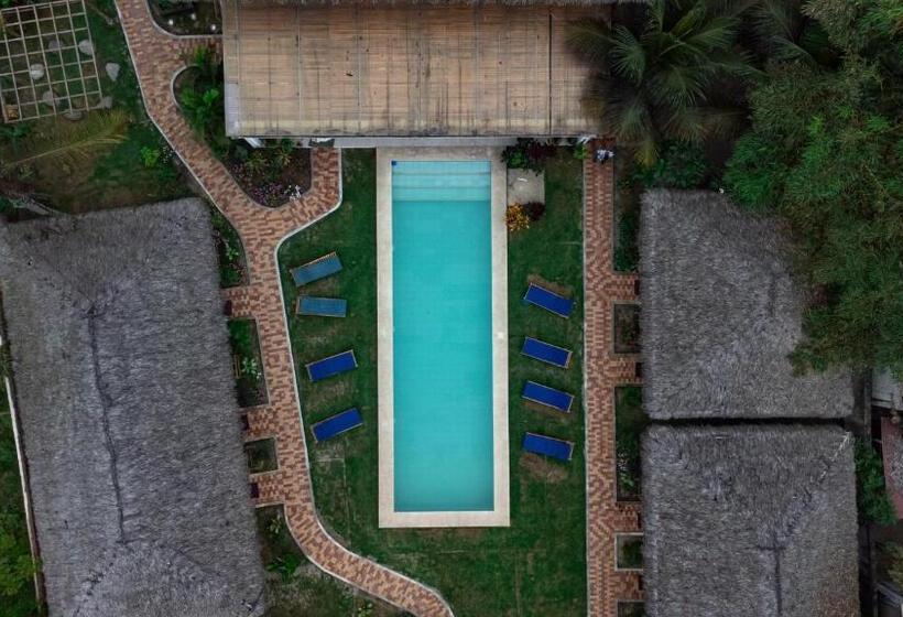 Bed and Breakfast Vikara