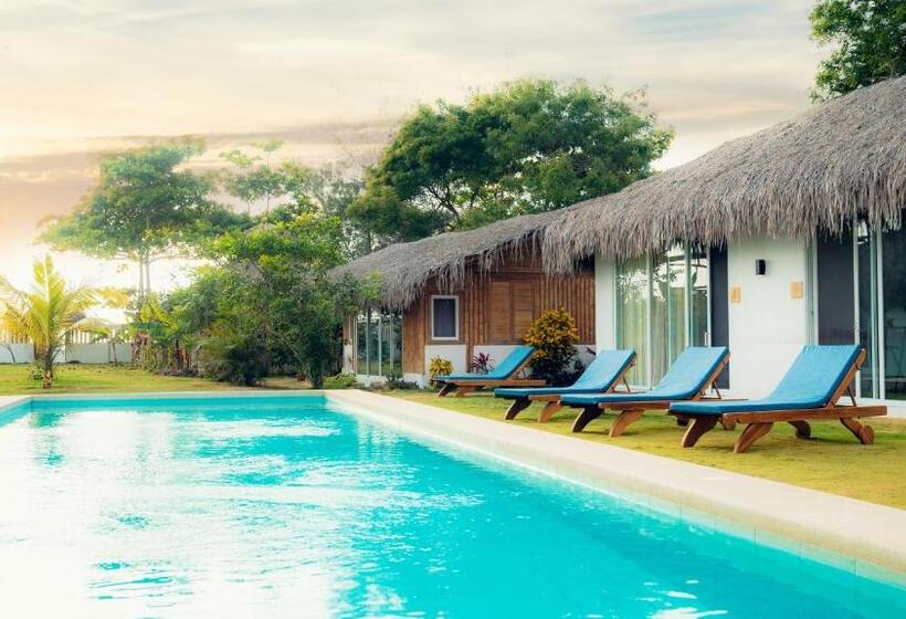 Bed and Breakfast Vikara