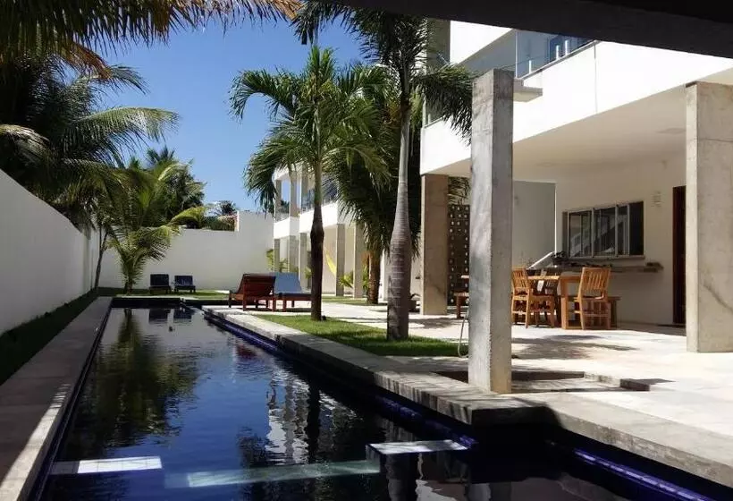 پانسیون Kitebar