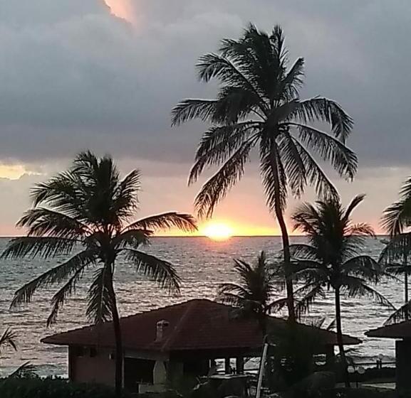 بنسيون Kitebar