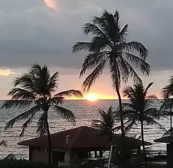 پانسیون Kitebar