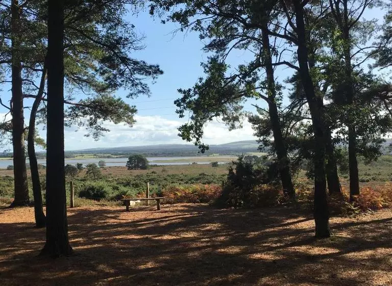 Aamiaismajoitus (B&B) Spurwing Guest House