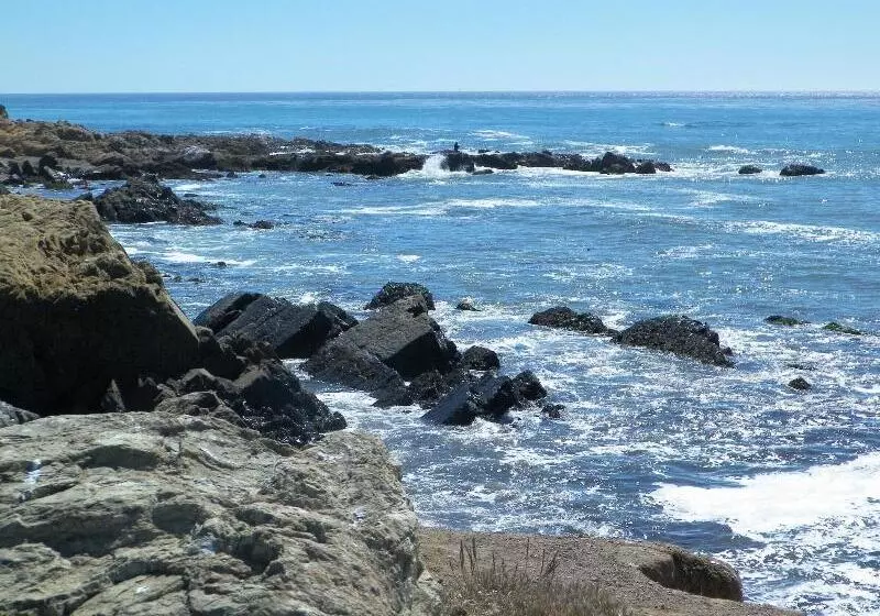 Отель Sea Otter Inn