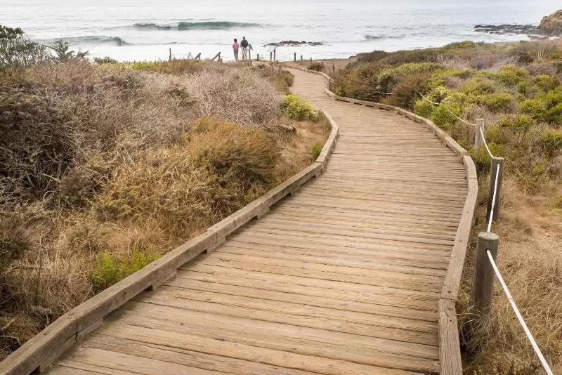 Отель Sea Otter Inn