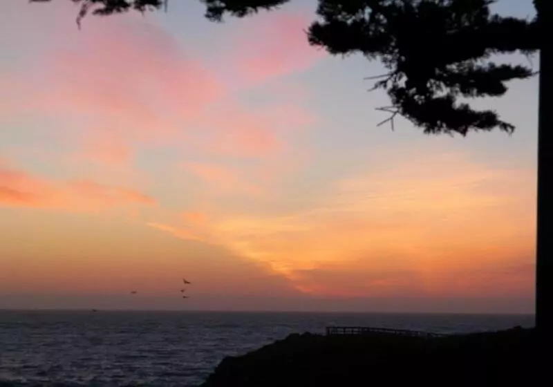 Отель Sea Otter Inn