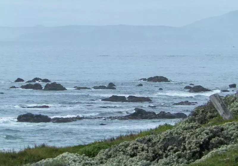 Отель Sea Otter Inn