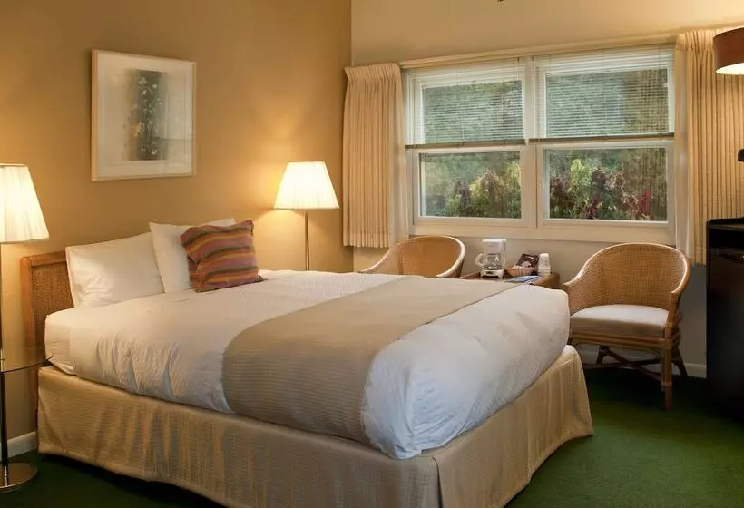 בית מלון כפרי The Shallows Resort