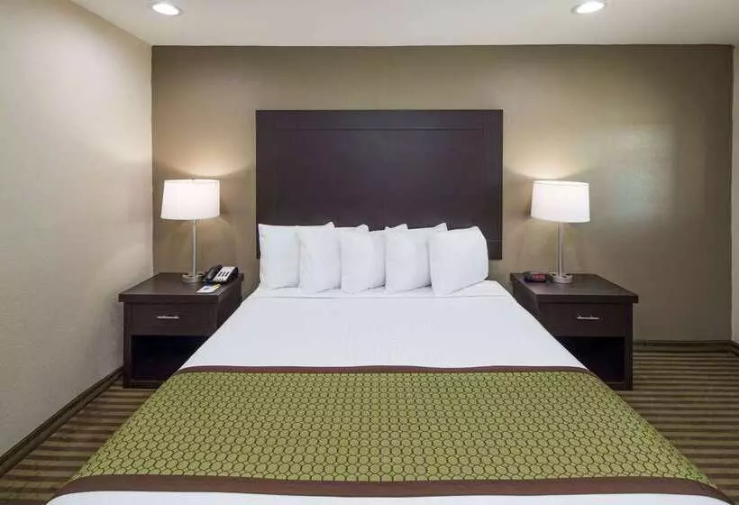 汽车旅馆  Days Inn By Wyndham El Centro