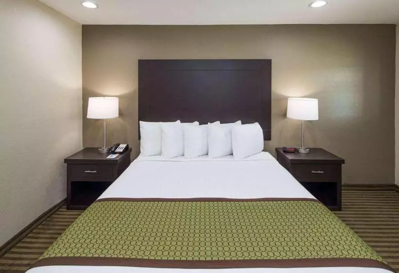 汽车旅馆  Days Inn By Wyndham El Centro