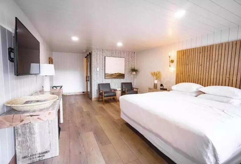 מוטל Scandia Inn