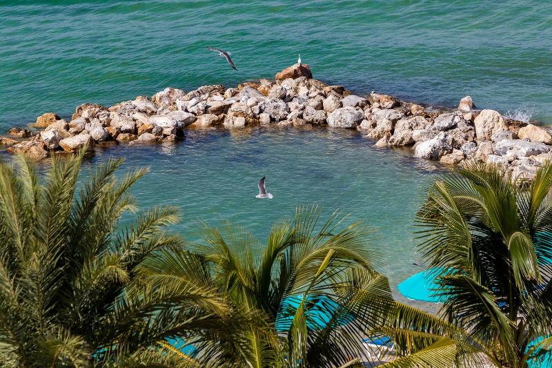 Shephard S Beach Resort