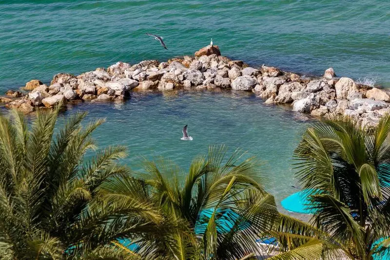 Shephard S Beach Resort