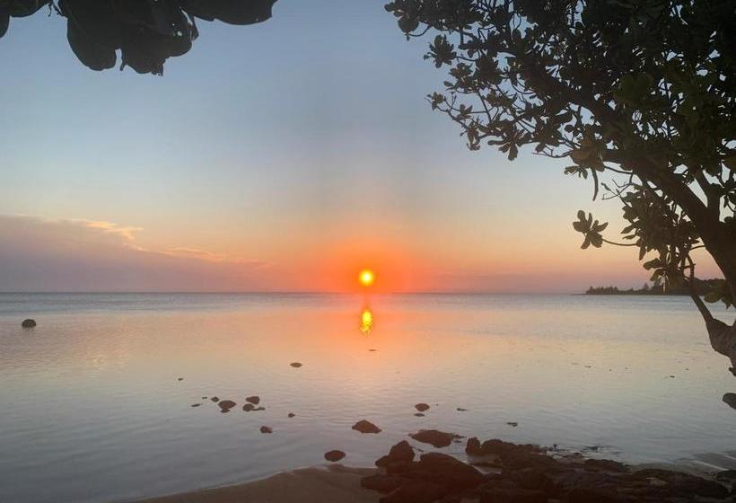 پانسیون La Case