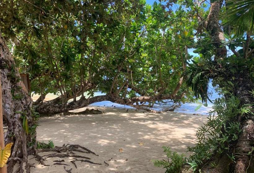 پانسیون La Case