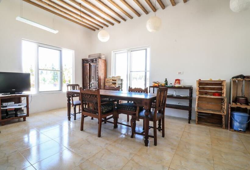 פנסיון Yellow Card Apartment & Bungalow