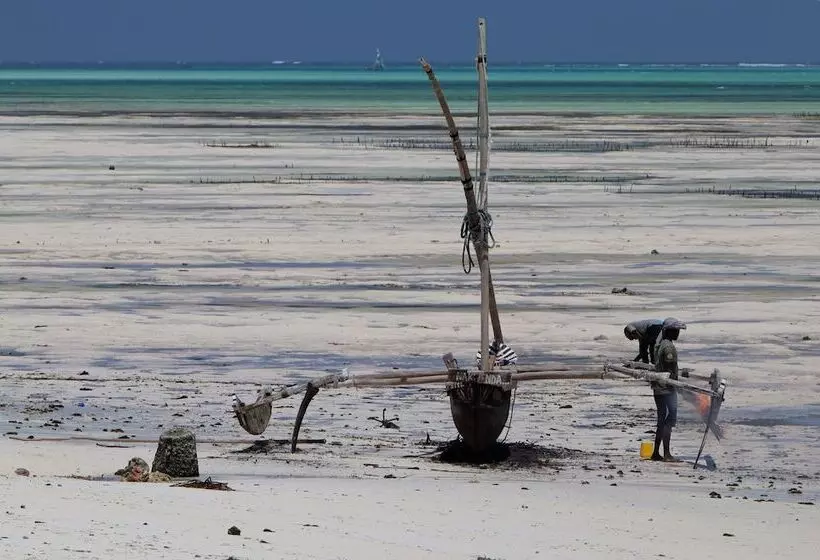 ペンション Yellow Card Apartment & Bungalow