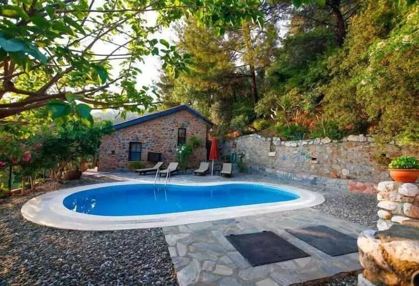Villa Punto