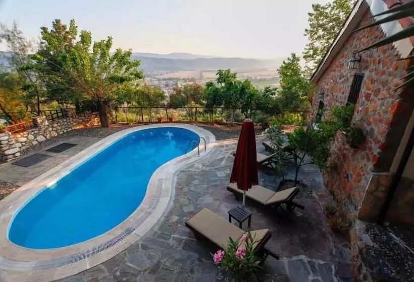 Villa Punto
