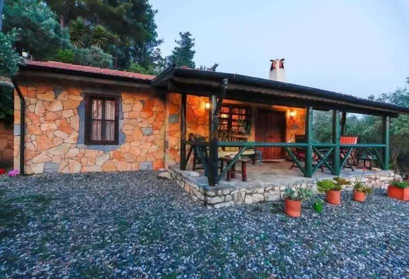 Villa Punto