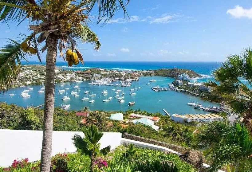 Paradiso By Island Properties Online