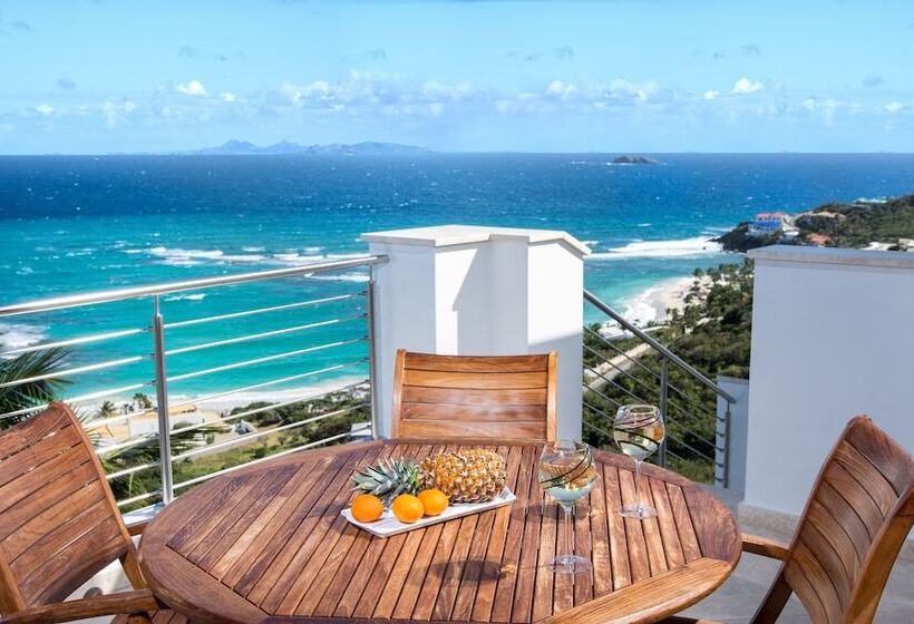 Paradiso By Island Properties Online