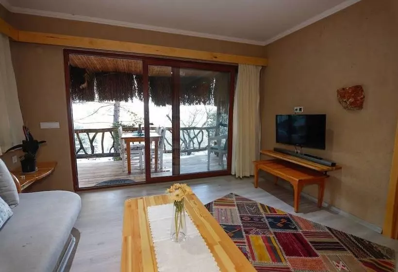 Villa Orion