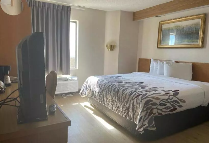 ホテル Red Roof Inn Branson