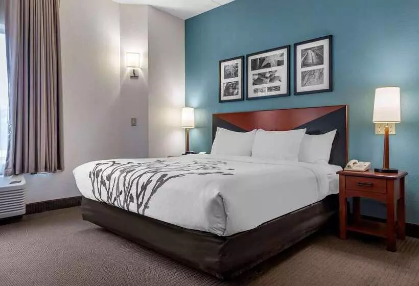 בית מלון כפרי Sleep Inn