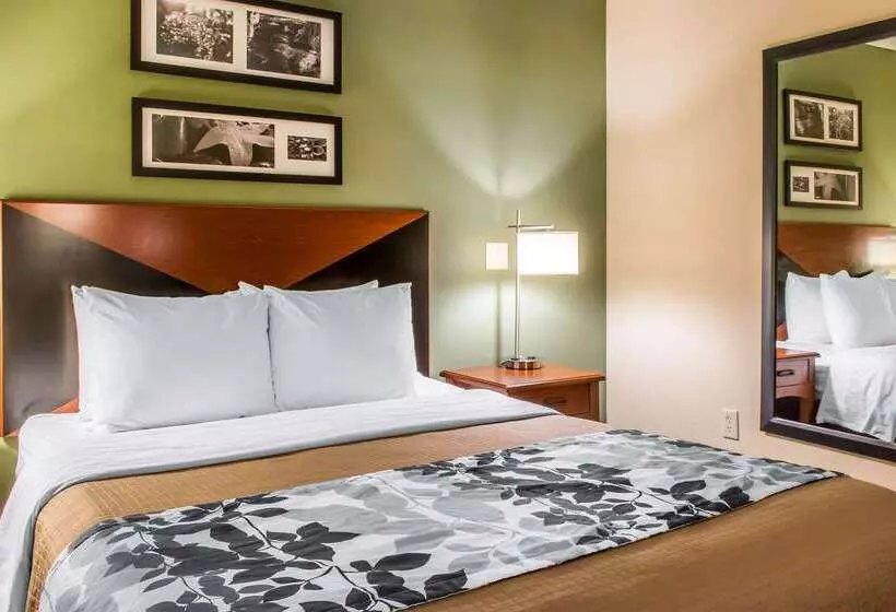 ホテル Sleep Inn & Suites Of Lancaster County