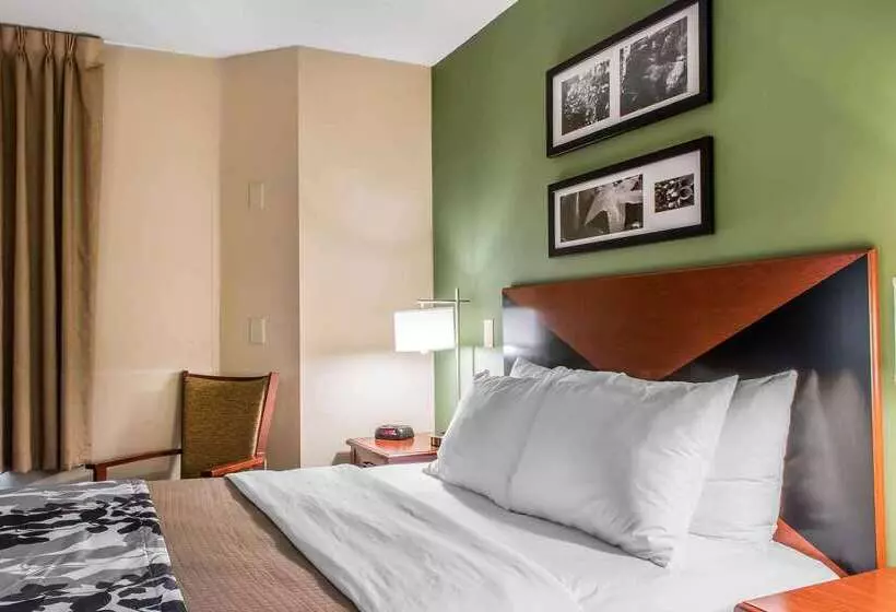 ホテル Sleep Inn & Suites Of Lancaster County