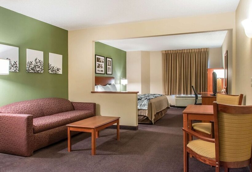 Отель Sleep Inn & Suites Of Lancaster County