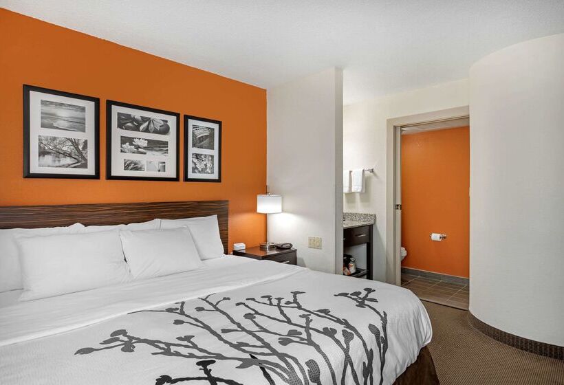 Отель Sleep Inn Dewitt Lansing North