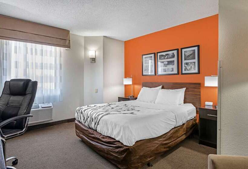 Отель Sleep Inn Dewitt Lansing North