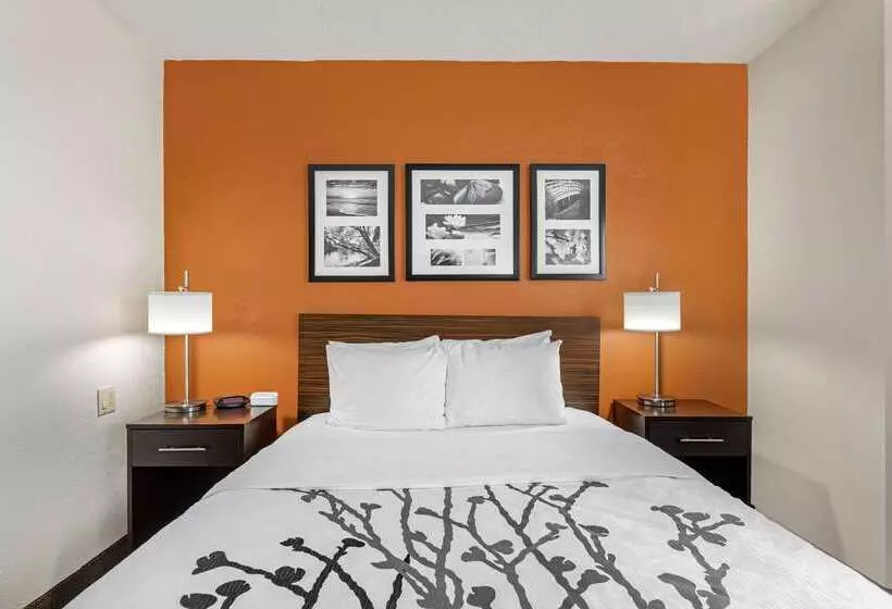 Hotelli Sleep Inn Dewitt   Lansing North