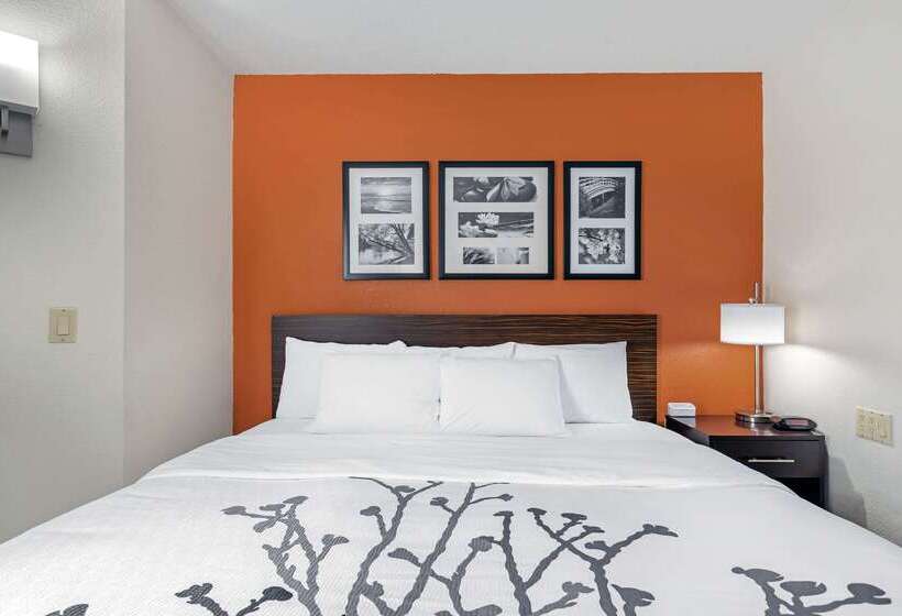 Отель Sleep Inn Dewitt Lansing North