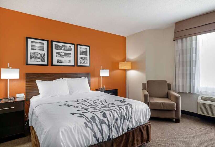 Отель Sleep Inn Dewitt Lansing North