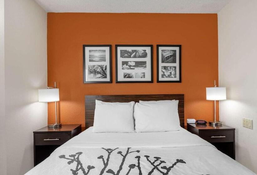 Отель Sleep Inn Dewitt Lansing North