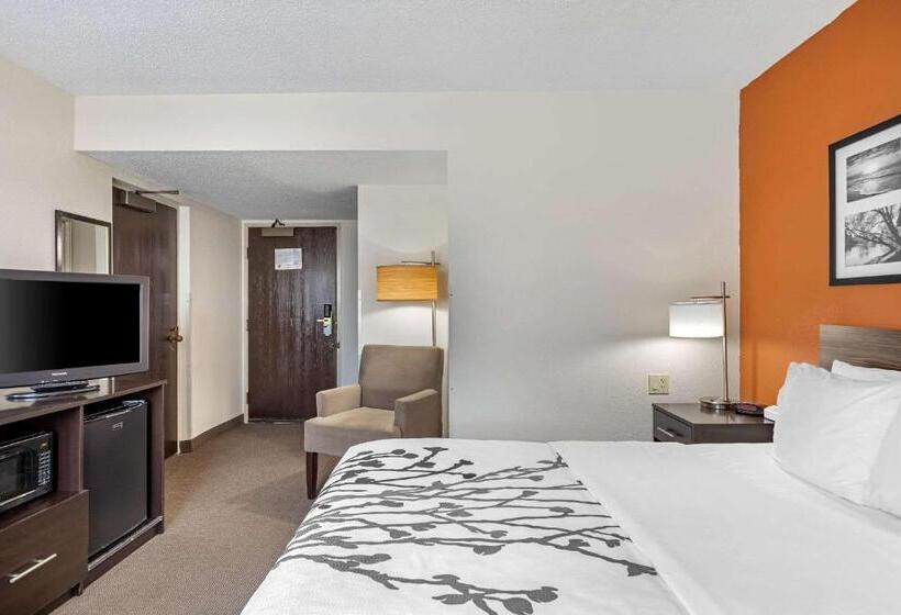 Отель Sleep Inn Dewitt Lansing North