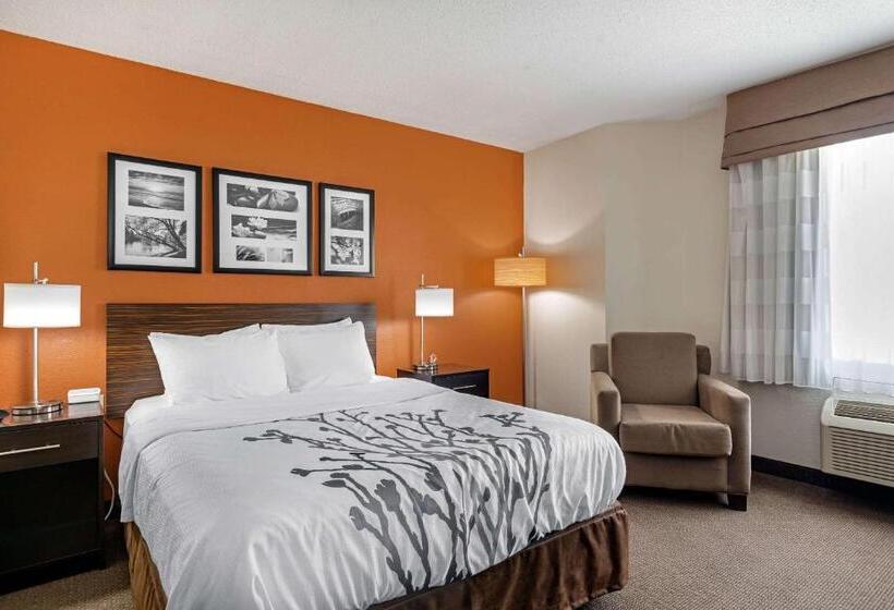 Отель Sleep Inn Dewitt Lansing North