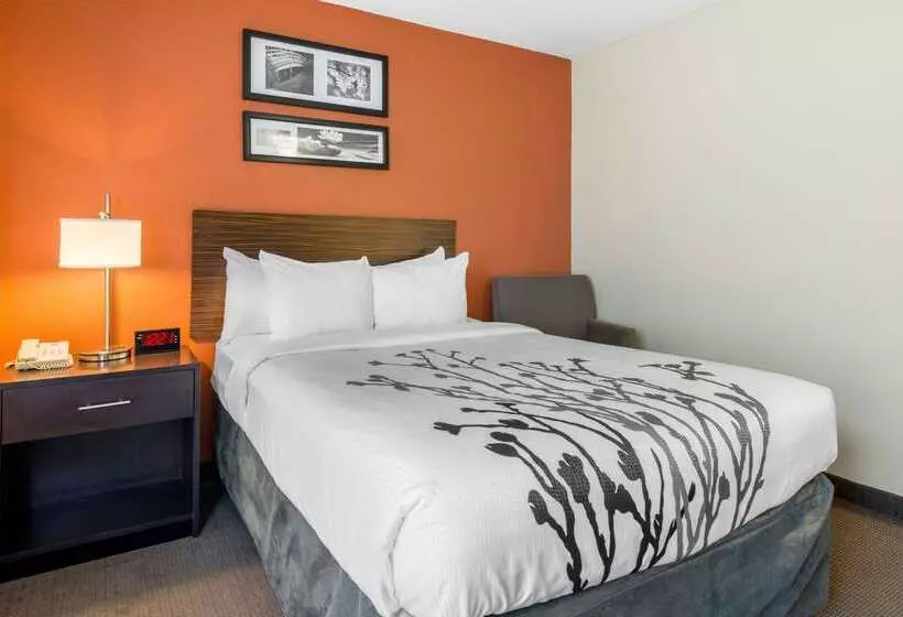 فندق Sleep Inn Sarasota North