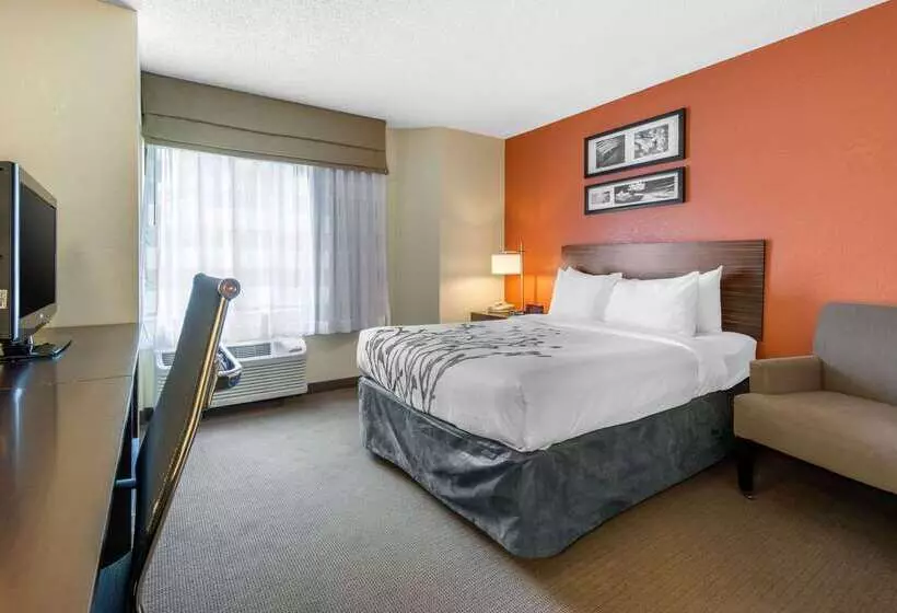 فندق Sleep Inn Sarasota North