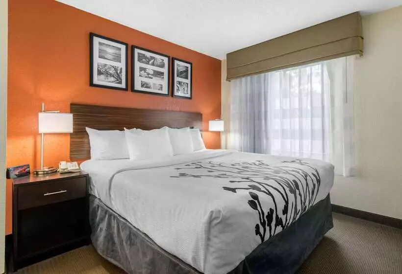 فندق Sleep Inn Sarasota North