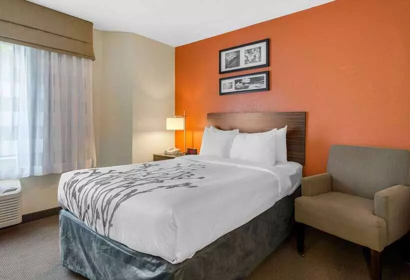 فندق Sleep Inn Sarasota North