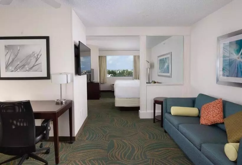 ホテル Springhill Suites Fort Lauderdale Airport