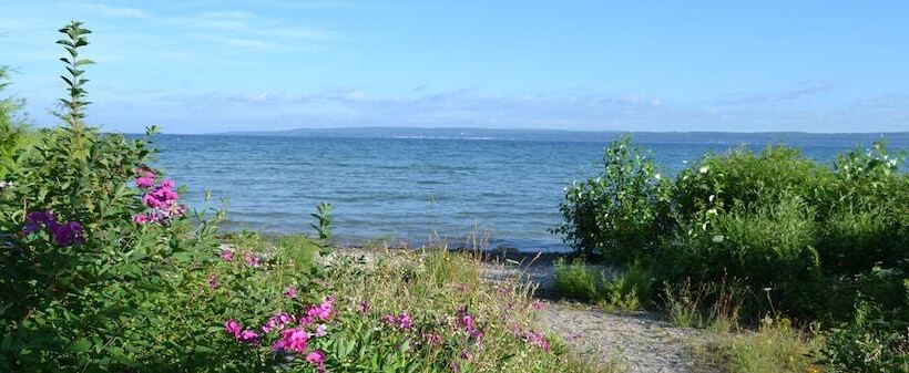 Отель Stafford's Bay View Inn