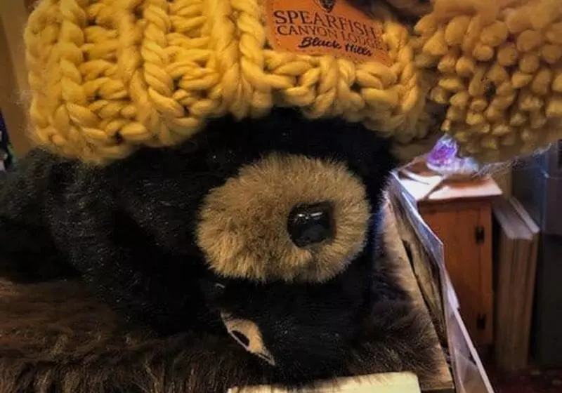 渡假胜地  Spearfish Canyon Lodge