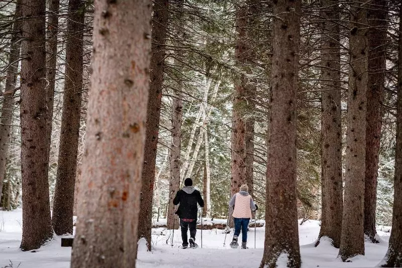 渡假胜地  Spearfish Canyon Lodge