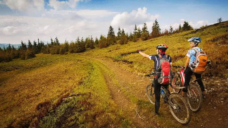 Stardust Motel Wallace